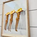 W&d Living-tête De Fleur-balkon über Schloßarkaden Appartement *